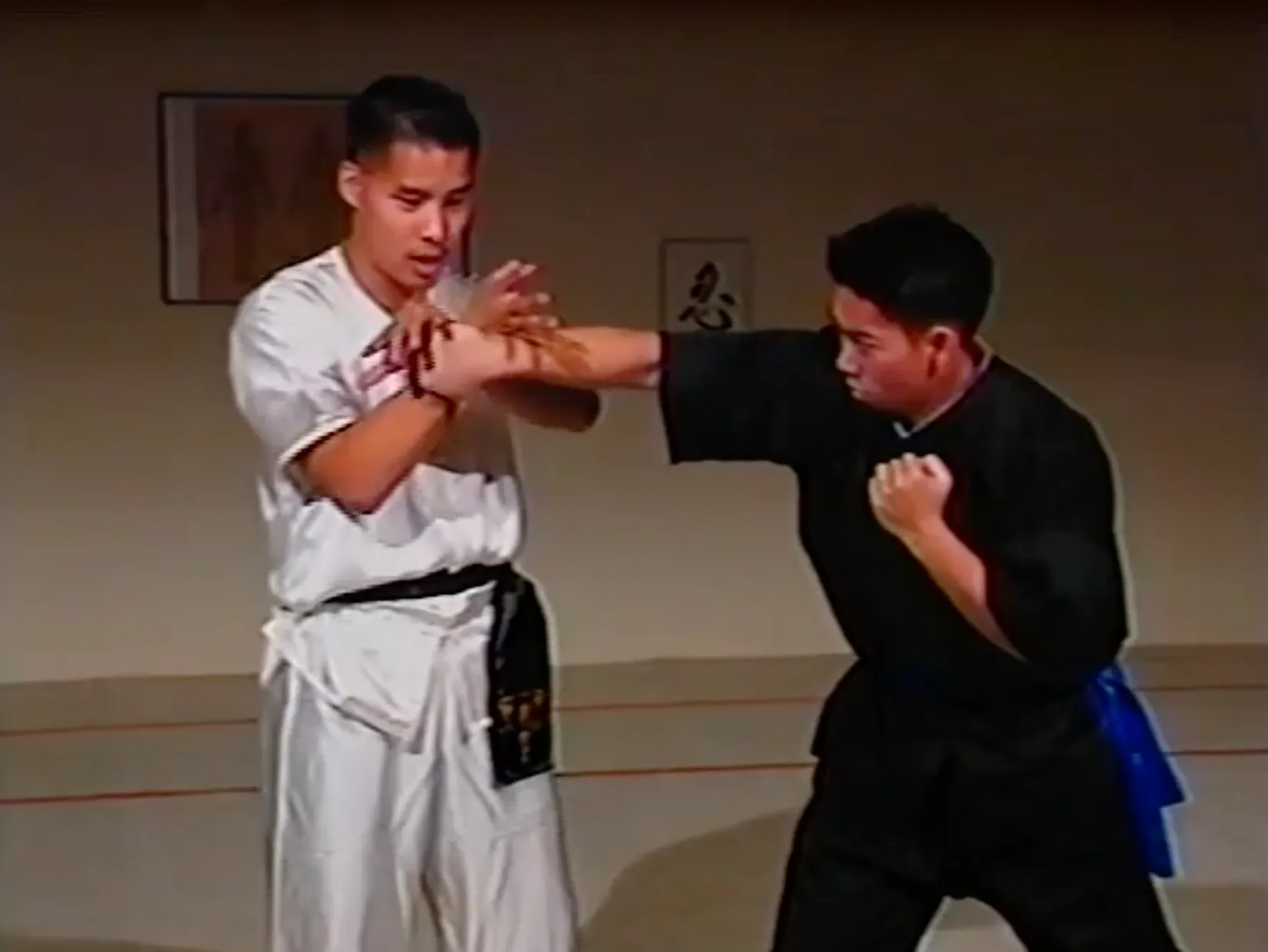 Combat Tai Chi 6 DVD Set by Mark Cheng